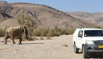 Self-Drive Packages