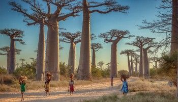 Travel and Holiday in Madagascar