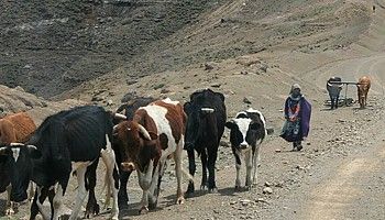 Travel and Holiday in Lesotho