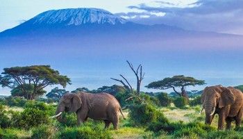 Countries to visit for holiday in Africa