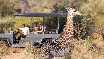 Travel and Holiday in Zambia
