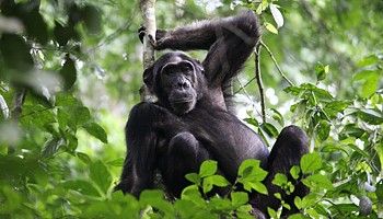 Travel and Holiday in Rwanda